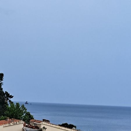 Ferienwohnung The Four Fish Petrovac na moru Exterior foto